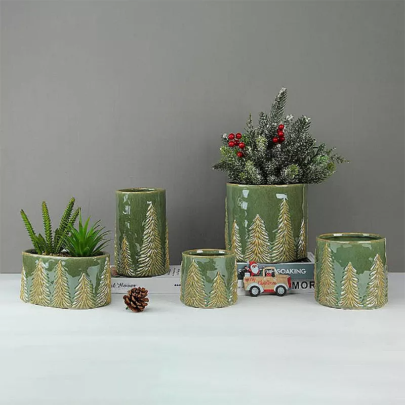 Рождестволық қарағайдың бейімділігі